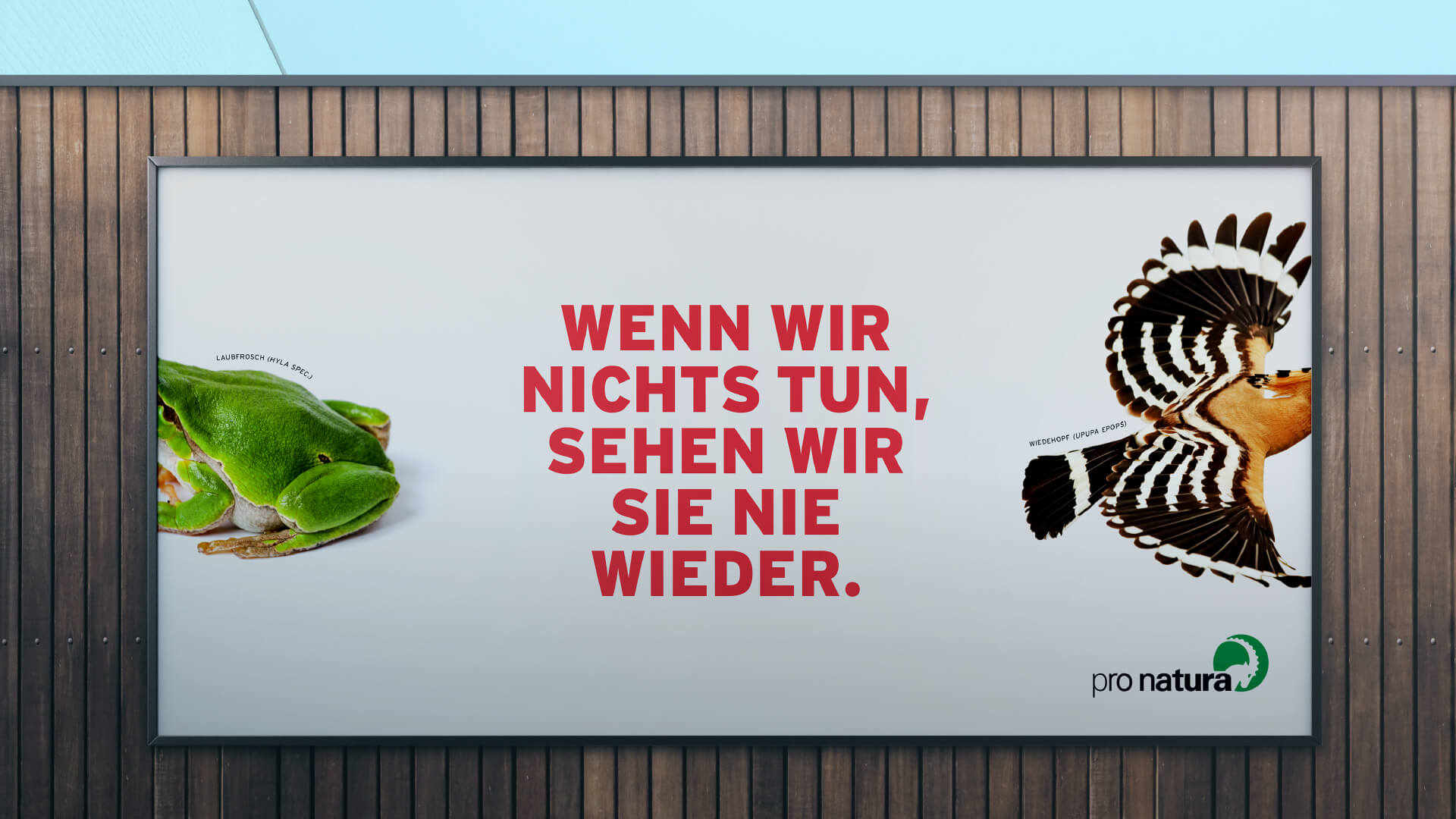 Grosses pro natura Plakat mit dem Laubfrosch und des Wiedehopfs. Das Plakat sagt in der Mitte «Wenn wir nichts tun, sehen wir sie nie wieder und soll für die Biodiversität sensibilisieren.