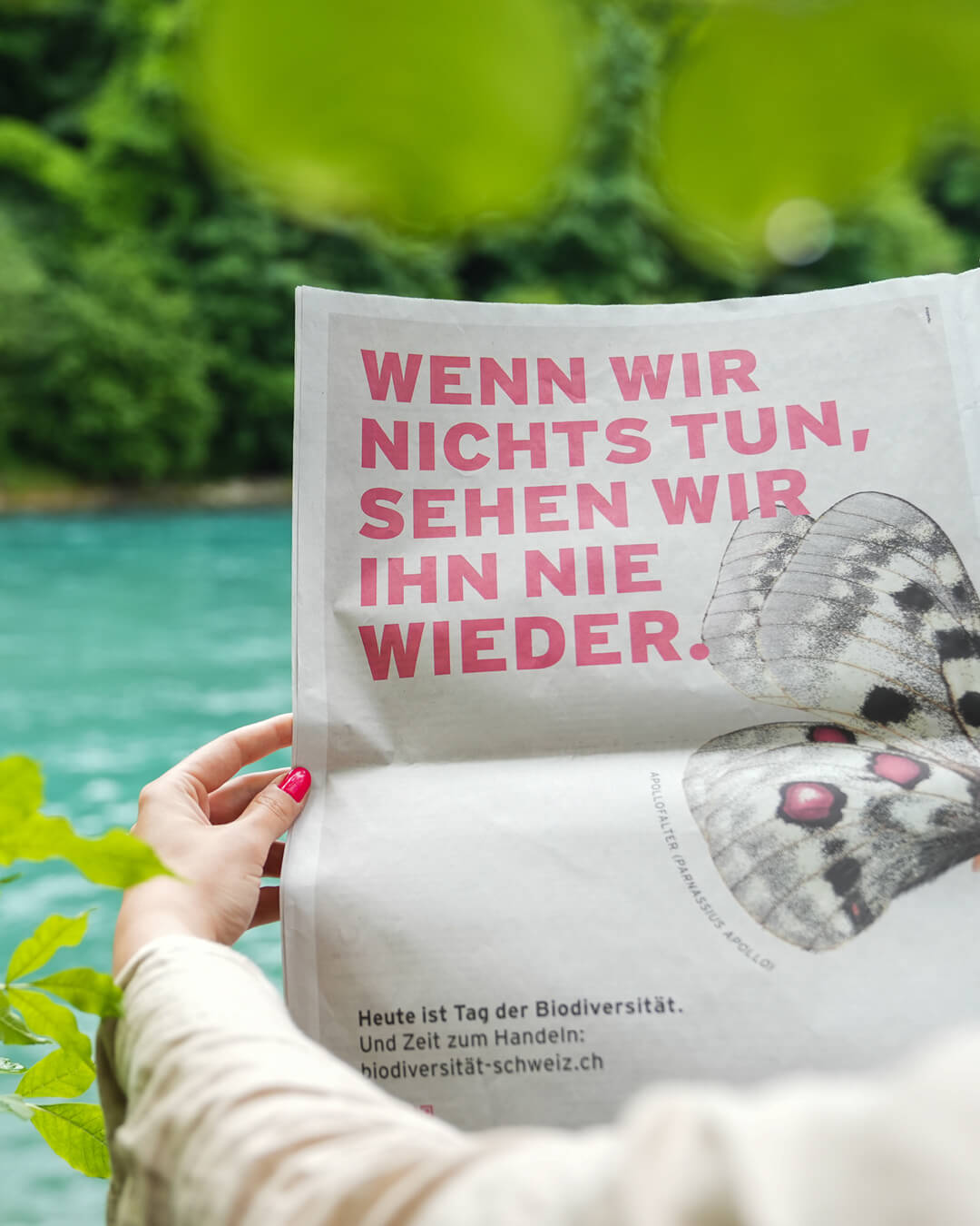 Ein Zeitungsinserat von pro natura zur Sensibilisierung des Biodiversitätstags. Abgebildet ist ein Apollofalter.
